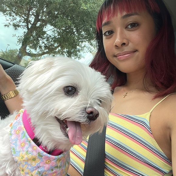 Kailuna Kouture 🌙 - Picture 3 of 17